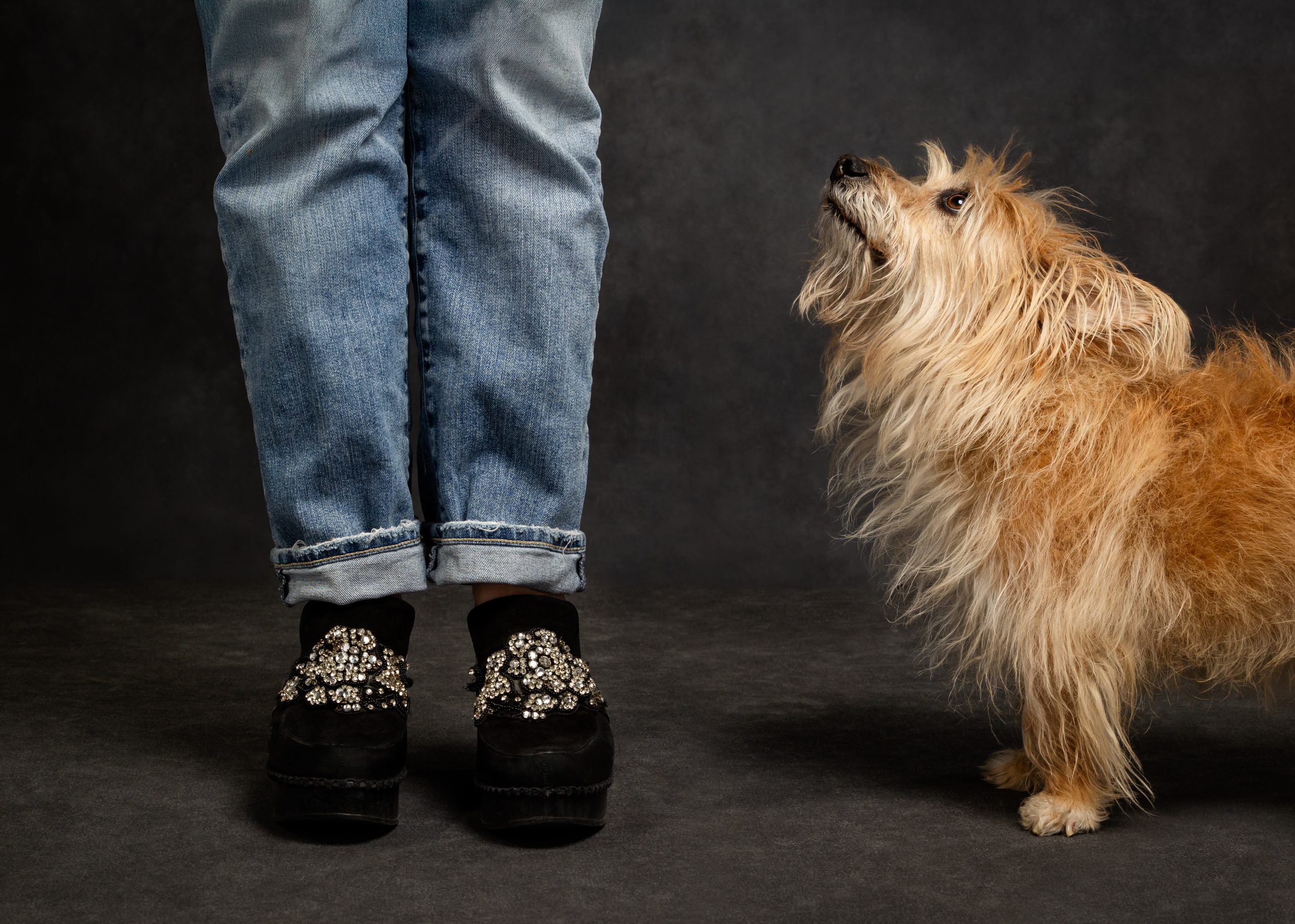 Dog and his human – Trish Elting Portrait